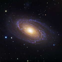 M 81 Bode s Galaxy