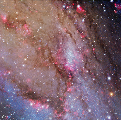 NGC 206 portion of Andromeda Galaxy