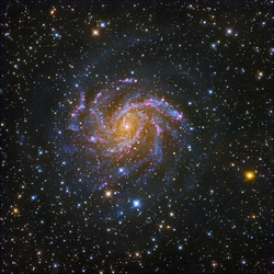 NGC 6946 Fireworks Galaxy